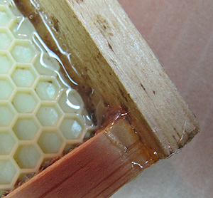 Hot glued hive frame corner